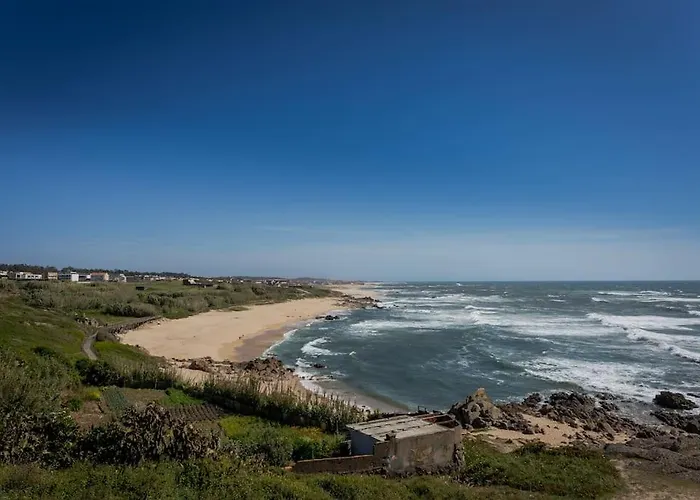 480 Liberdade * Labruge